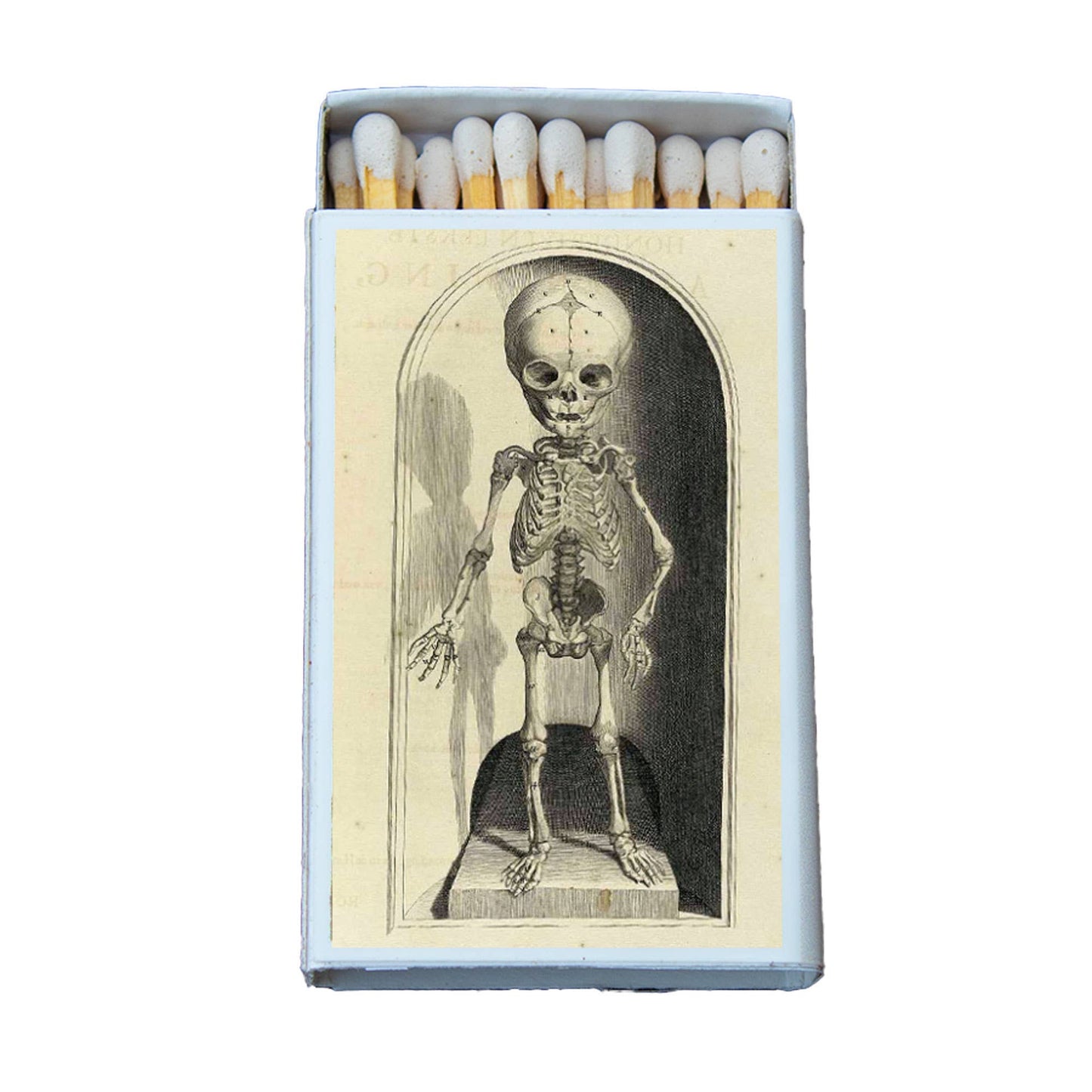 Matches • Skeleton Child • Home Decor for Candles & Incense