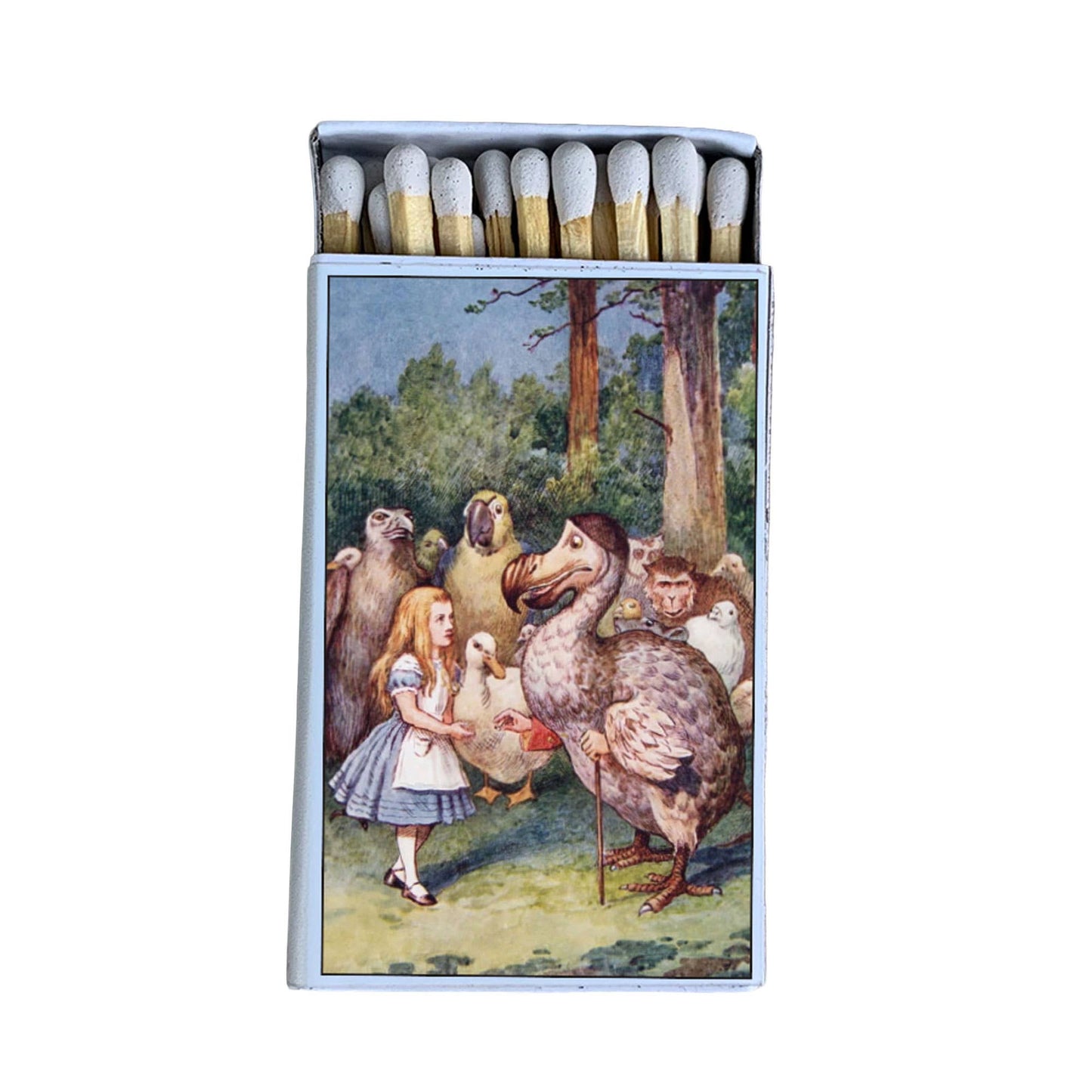 Matches • Alice in Wonderland and the Dodo • Home Decor