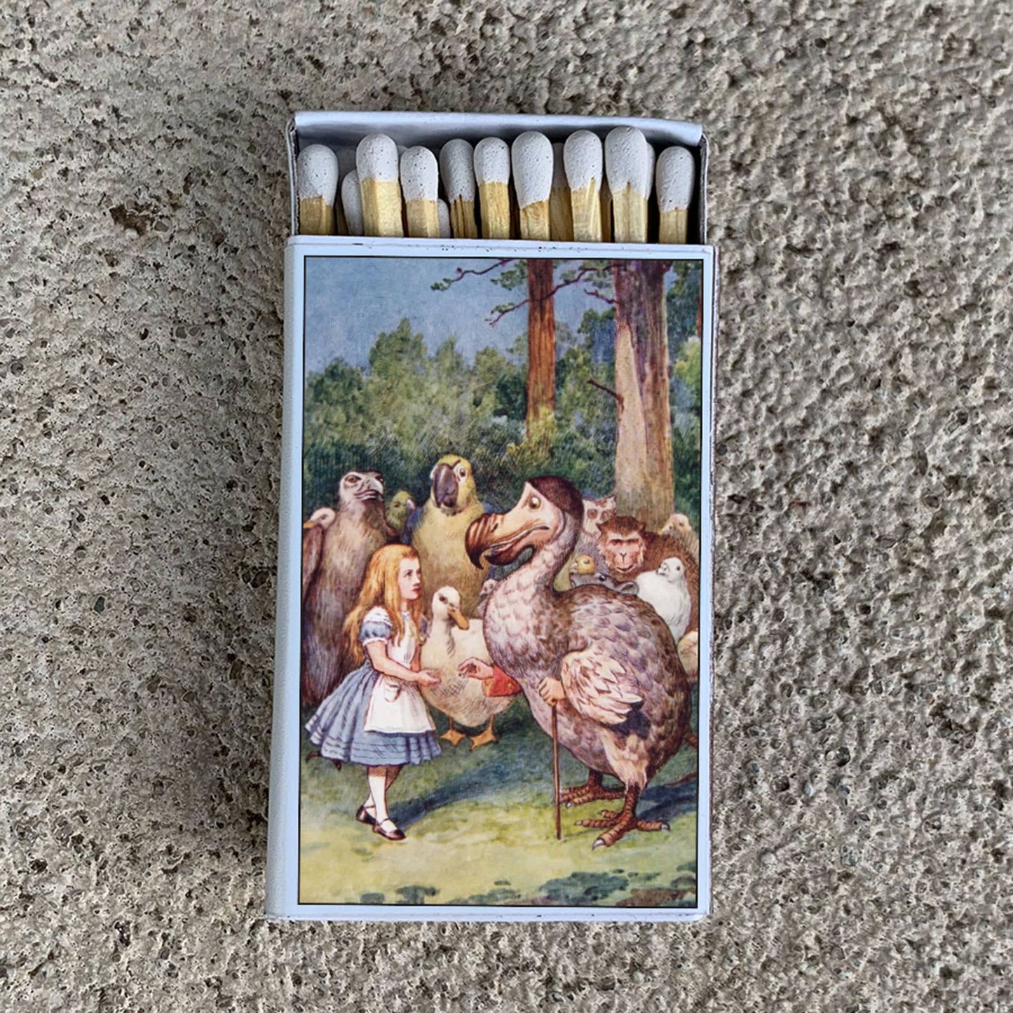 Matches • Alice in Wonderland and the Dodo • Home Decor
