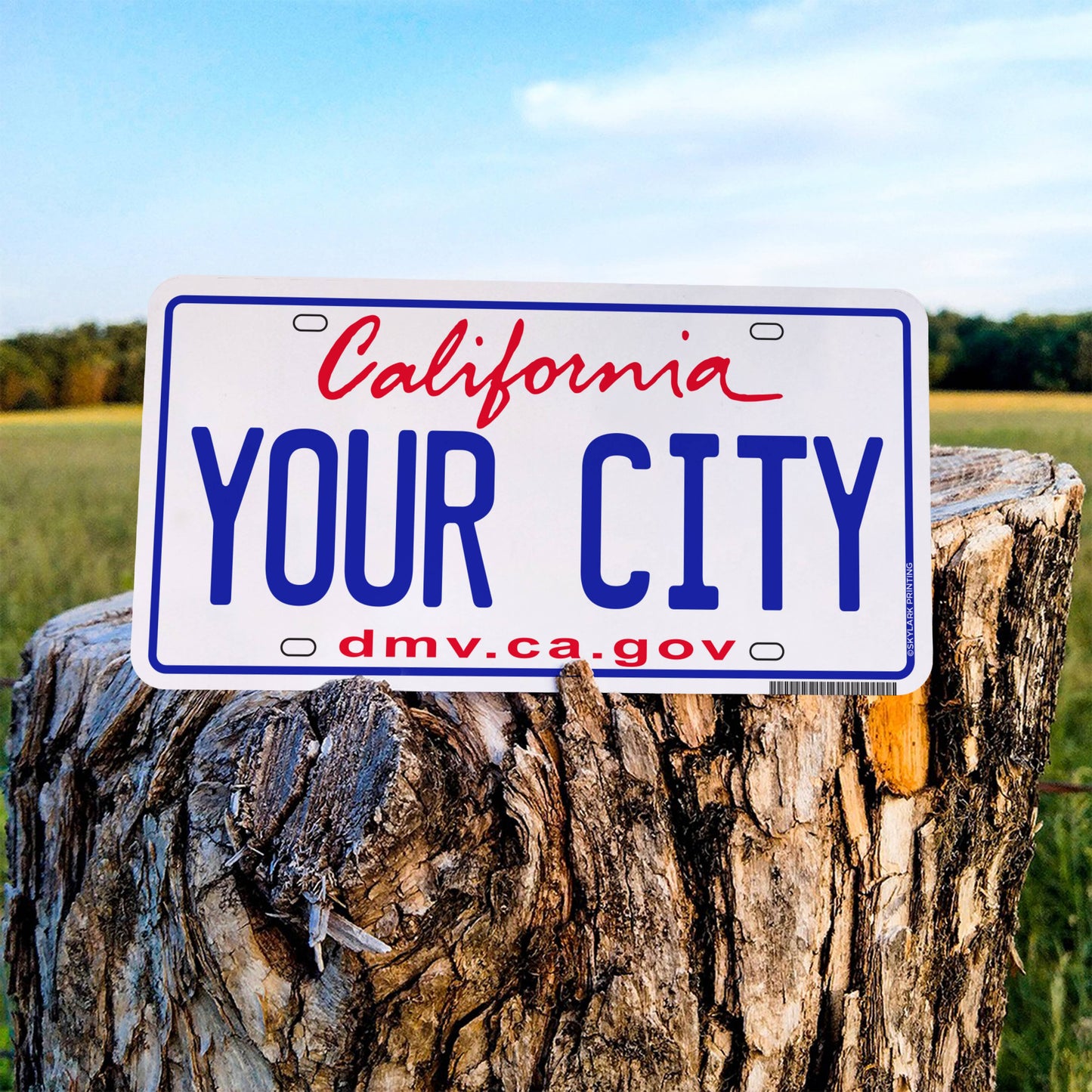 California Plate Souvenir Sticker with Your City, Text